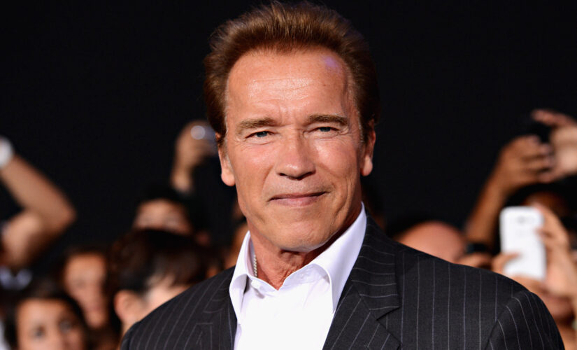 Arnold Schwarzenegger weighs in in on the California recall