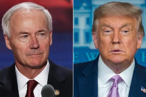 Trump torches Arkansas Gov. Hutchinson for vetoing bill banning puberty blockers in children