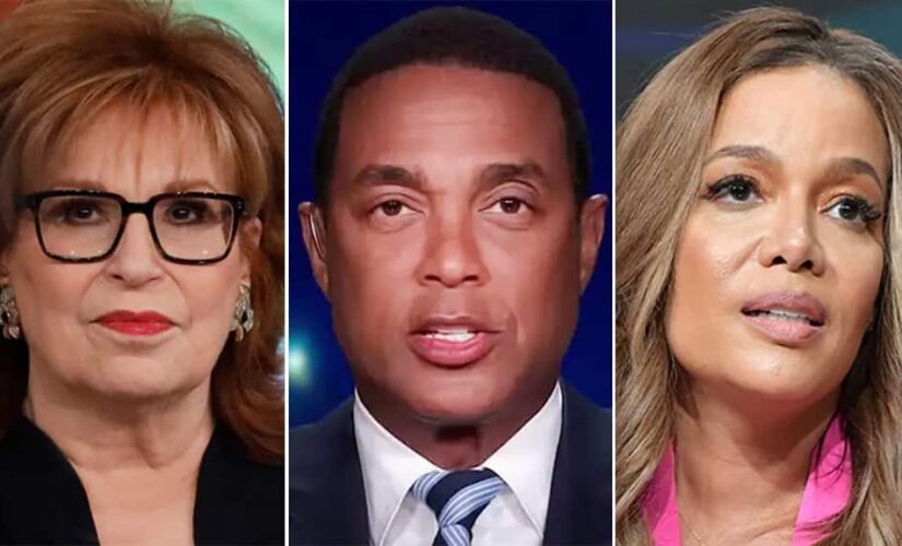 ‘The View’ pushes back against CNN’s Don Lemon over Ma’Khia Bryant shooting: He’s ‘wrong about this’