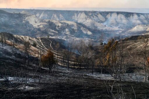 Wildfire in Theodore Roosevelt National Park triples in size
