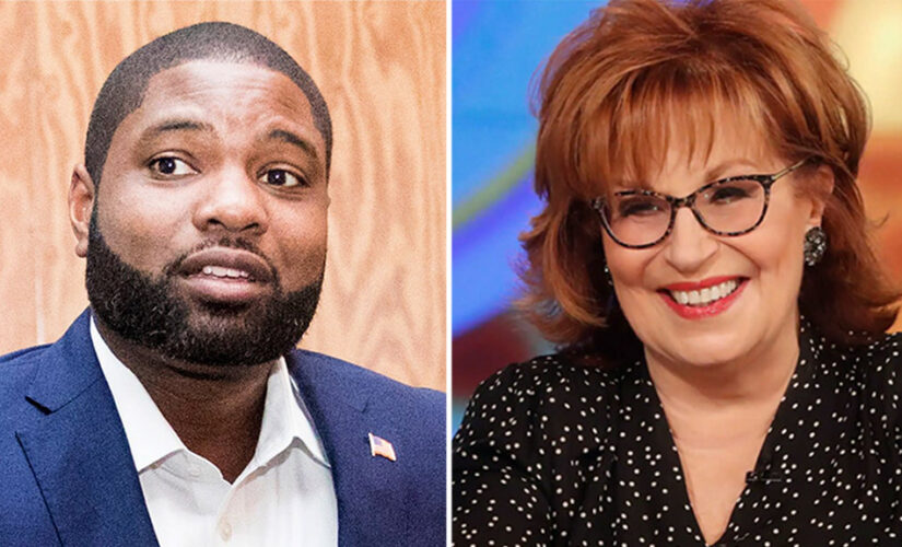 Rep. Donalds blasts Joy Behar for Tim Scott criticism, asks ‘Why the hell are we even listening’ to her