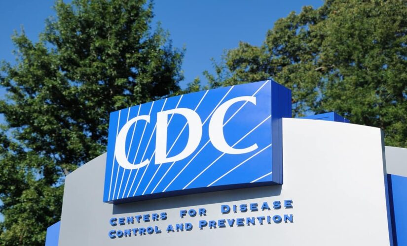 CDC ‘doing the bidding’ of the Biden administration by making health disparities a race issue: Paris Dennard