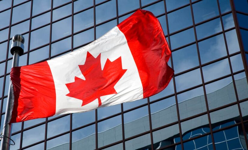 Canadian lawmaker caught nude during virtual legislative meeting
