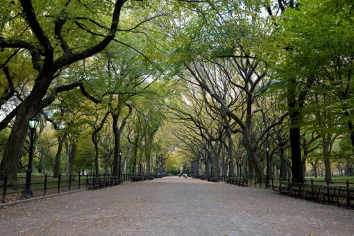 Unrest near New York’s Central Park as mob splashes paint on statues, defaces property; arrests made