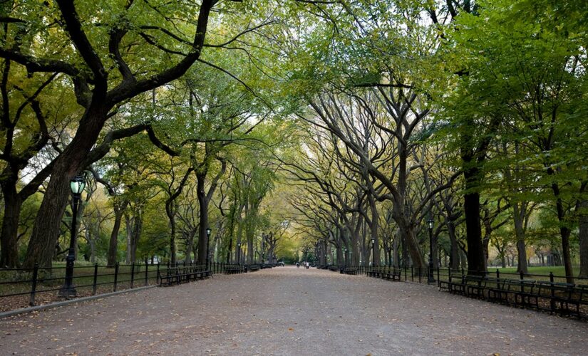 Unrest near New York’s Central Park as mob splashes paint on statues, defaces property; arrests made