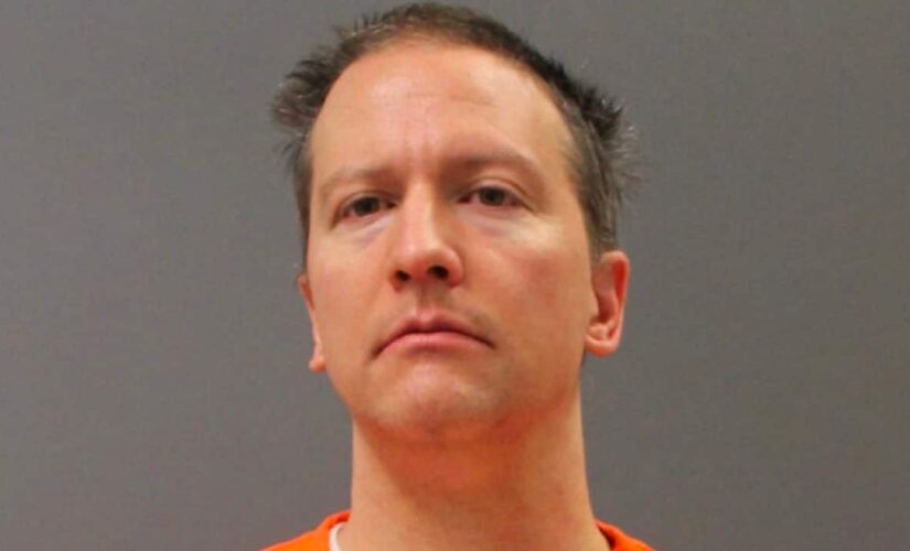 Can Derek Chauvin get his convictions tossed on appeal?
