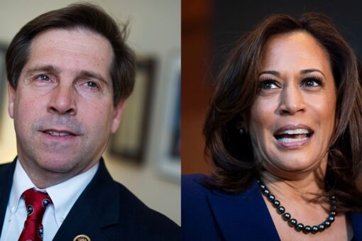 GOP lawmakers urge VP Harris to visit border ASAP: ‘We invite you to make the journey’