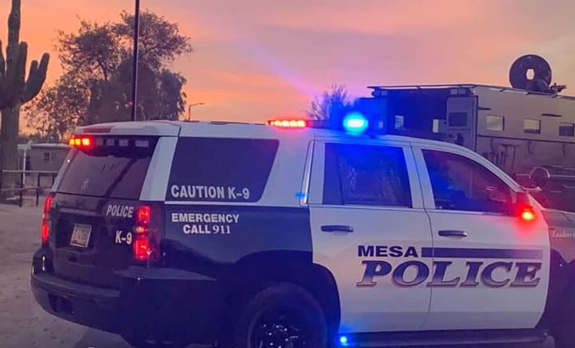 Arizona police find toddler, man and 2 dogs dead inside home: report