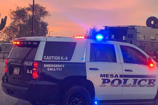 Arizona police find toddler, man and 2 dogs dead inside home: report