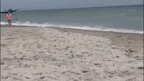 WWII-era plane in Florida air show makes splash landing in ocean