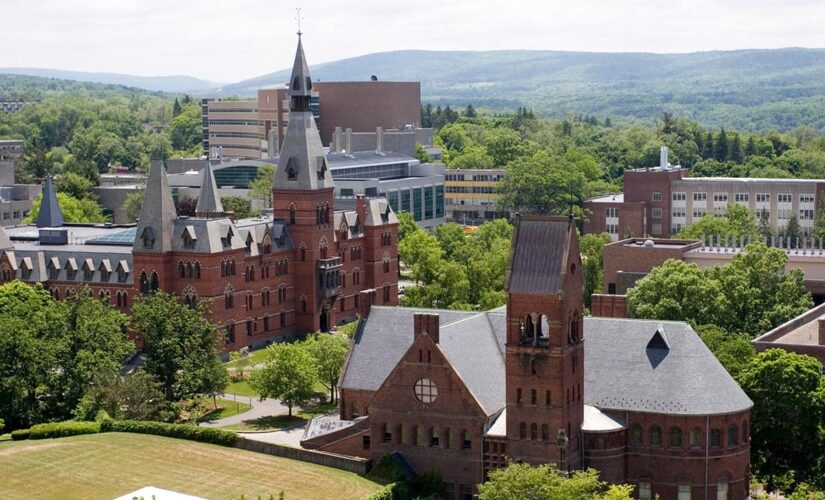Cornell faculty approves resolution removing race from crime alerts