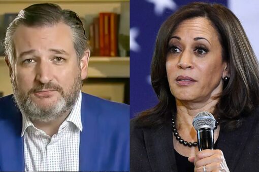 Ted Cruz says VP Harris’ ‘GPS got confused,’ sending her to wrong border