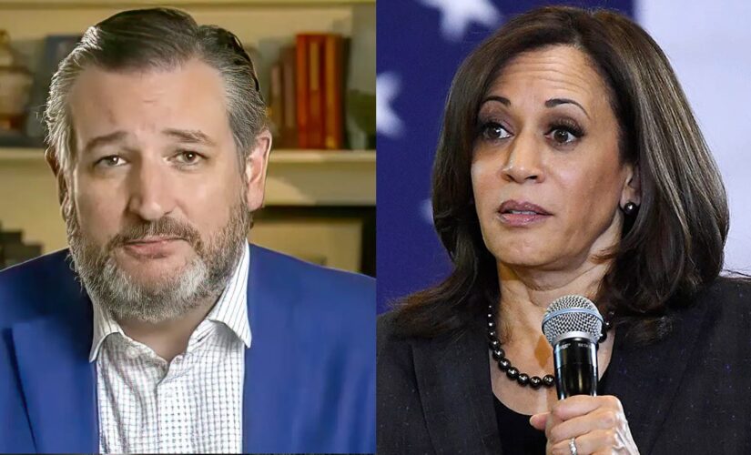 Ted Cruz says VP Harris’ ‘GPS got confused,’ sending her to wrong border