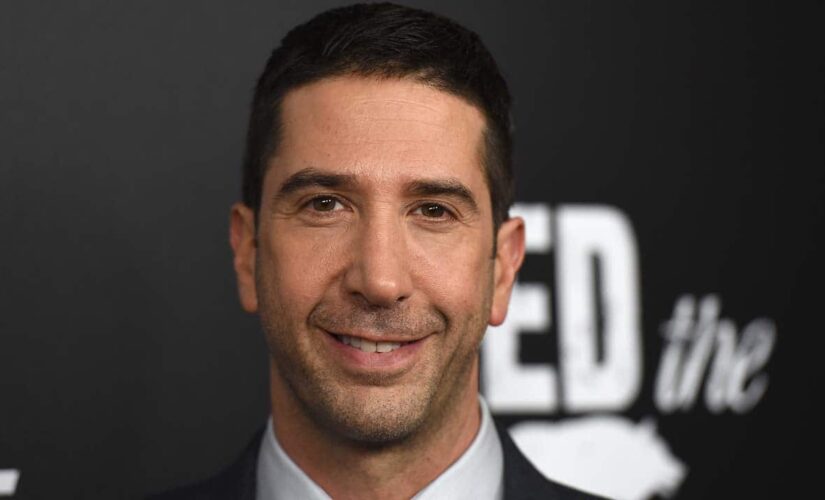 ‘Friends’ star David Schwimmer says reunion will shoot ‘next week’