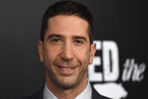 ‘Friends’ star David Schwimmer says reunion will shoot ‘next week’