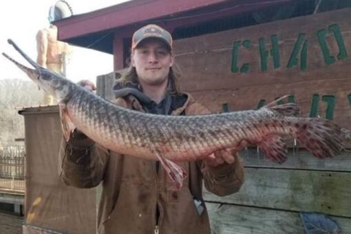 Missouri man catches possible world record breaking spotted gar fish