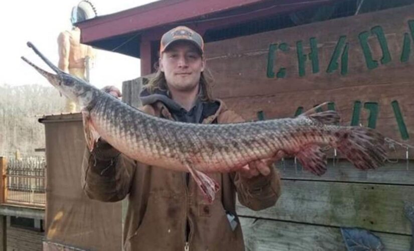 Missouri man catches possible world record breaking spotted gar fish