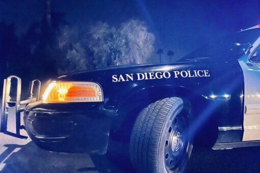 California homeowner kills robber after taking gun: report