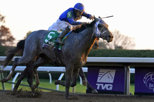 Shades of gray rare among Kentucky Derby favorites, winners