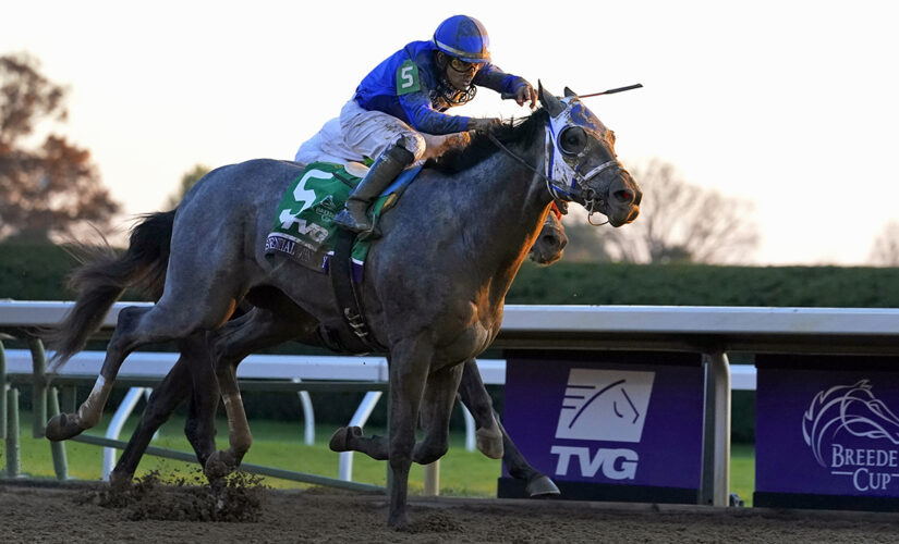 Shades of gray rare among Kentucky Derby favorites, winners