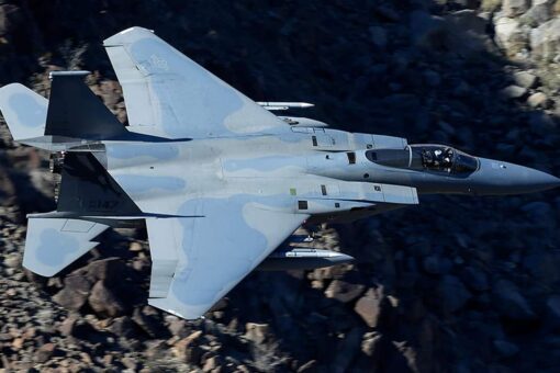 California National Guard put fighter jet on alert in March 2020 for ‘possible domestic mission’: report
