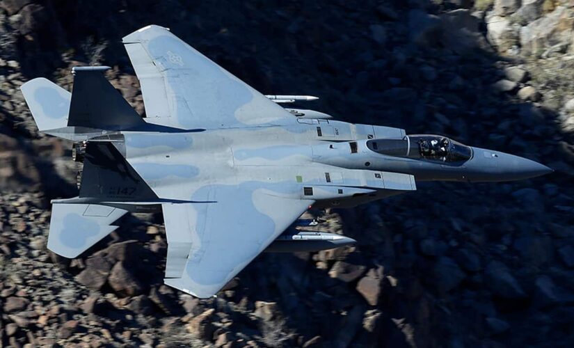 California National Guard put fighter jet on alert in March 2020 for ‘possible domestic mission’: report