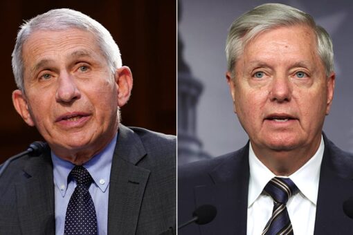 Lindsey Graham tells Fauci to go to border and see ‘biggest super spreader event in the nation’