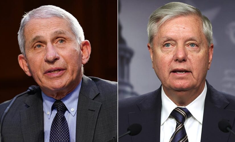 Lindsey Graham tells Fauci to go to border and see ‘biggest super spreader event in the nation’