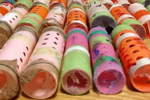Officials at JFK airport catch passenger smuggling 29 live finches hidden inside hair rollers