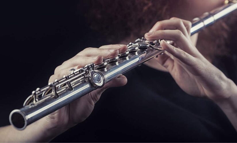 $13G flute in the wind since 2012 recovered