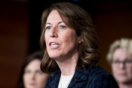 Vulnerable House Dem agrees with Pelosi that border ‘is on a good path’