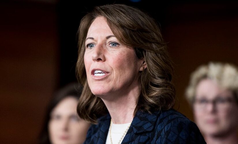 Vulnerable House Dem agrees with Pelosi that border ‘is on a good path’