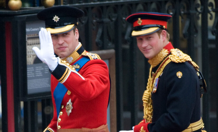 Prince William said this ‘hilarious’ thing about Prince Harry during his wedding speech, source says