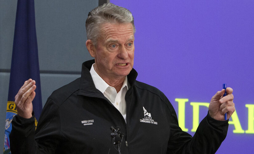 Idaho governor signs bill banning abortions after fetal heartbeat detected