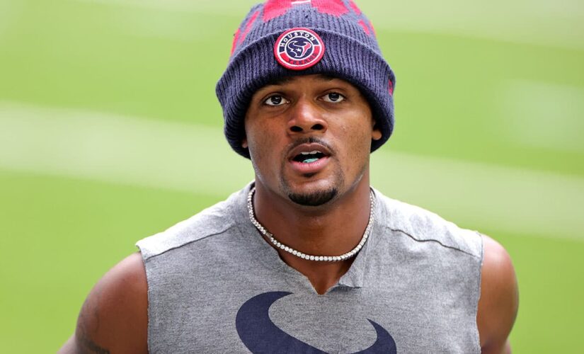 Number of therapists in Deshaun Watson case is ‘unusual,’ former NFL exec says