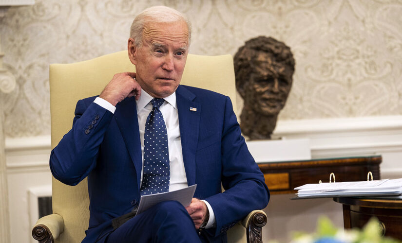 Biden viewed less positively than police: poll