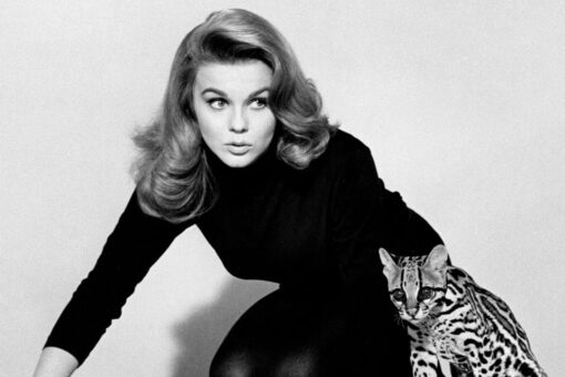 Ann-Margret reflects on ‘Viva Las Vegas,’ visiting troops in Vietnam: ‘Being with them has been in my heart’