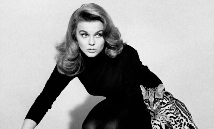 Ann-Margret reflects on ‘Viva Las Vegas,’ visiting troops in Vietnam: ‘Being with them has been in my heart’