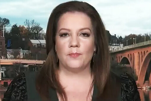 Mollie Hemingway: Media portrayal of Biden ‘so at odds with reality’: