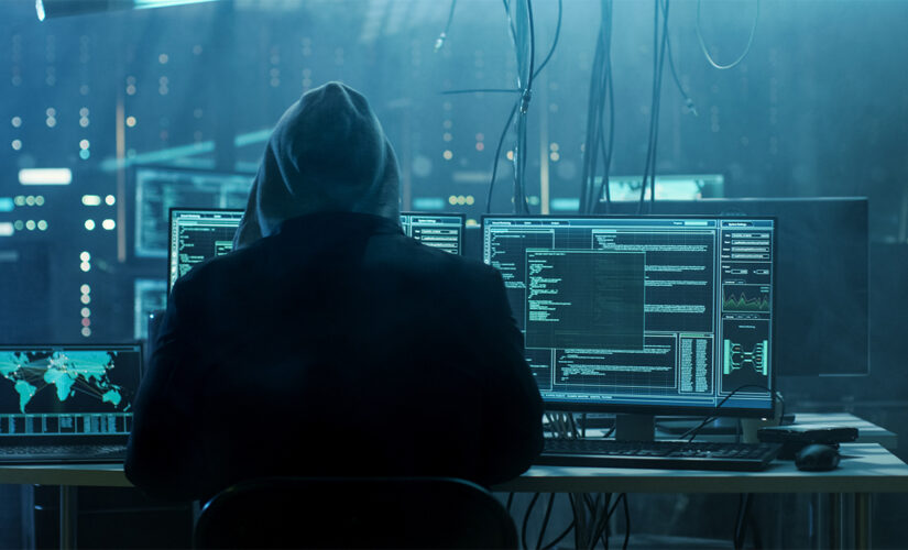 US creates tasks force to tackle ransomware security threat