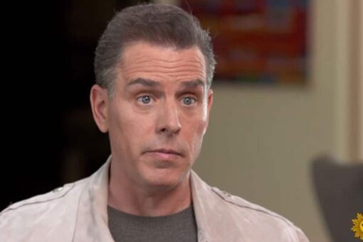 Hunter Biden admits he used to smoke parmesan cheese because it resembled crack