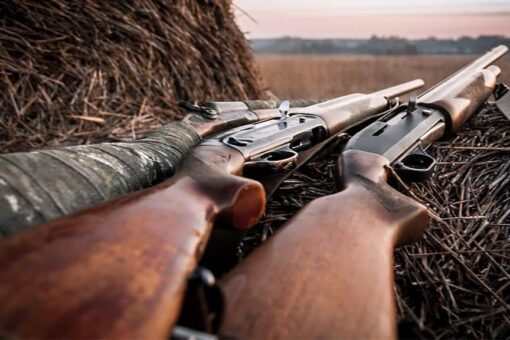 Kentucky boy shot dead in apparent hunting accident: report