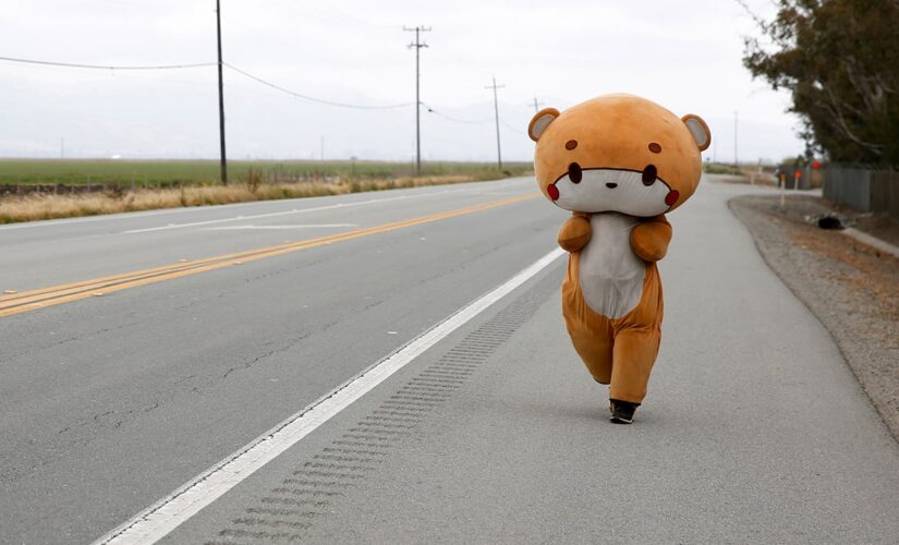 California man walking from LA to San Francisco in bear suit for charity