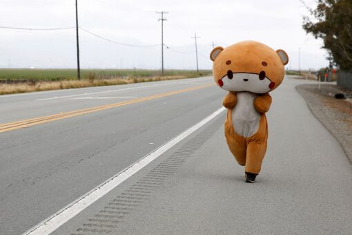 California man walking from LA to San Francisco in bear suit for charity
