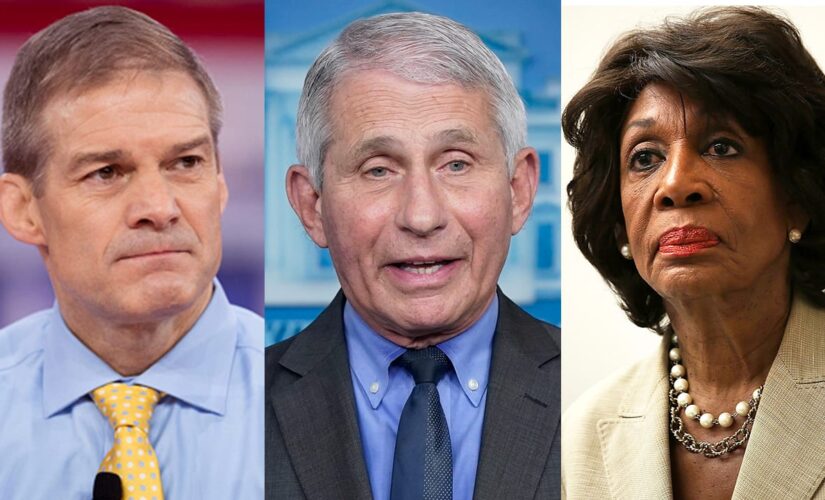 Maxine Waters snaps at Jim Jordan as COVID hearing with Fauci erupts into shouting match: ‘Shut your mouth’