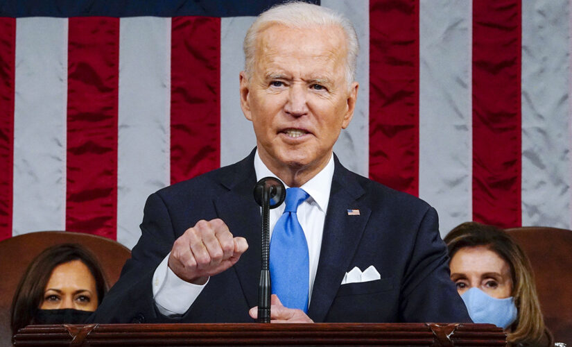 Two border state Dems break with Biden on the crisis: ‘Want to see more action’