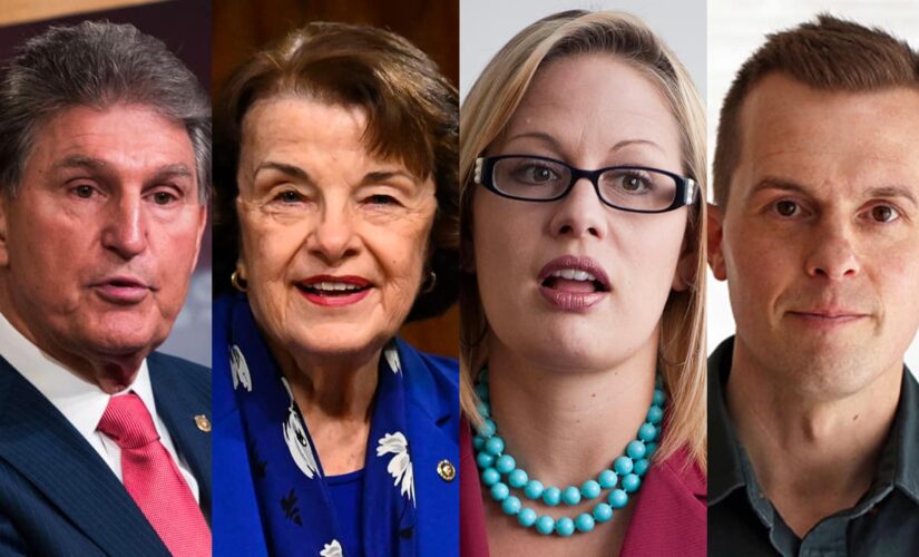 Court-packing push puts moderate Dems in spotlight