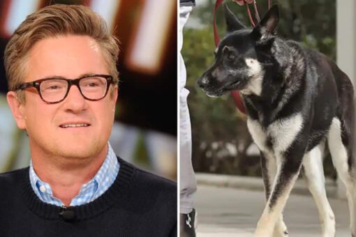 Joe Scarborough suggests Biden dog Major ‘prepare to meet Doggy Jesus’ after second biting incident
