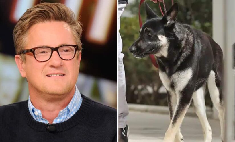 Joe Scarborough suggests Biden dog Major ‘prepare to meet Doggy Jesus’ after second biting incident