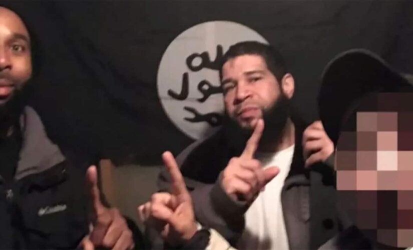 Illinois man turned wannabe ISIS terrorist sentenced, tells judge he’s a big ‘teddy bear’